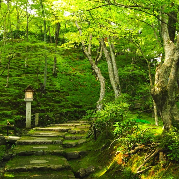 Meet your Posher, Jay - Picture 1 of 1